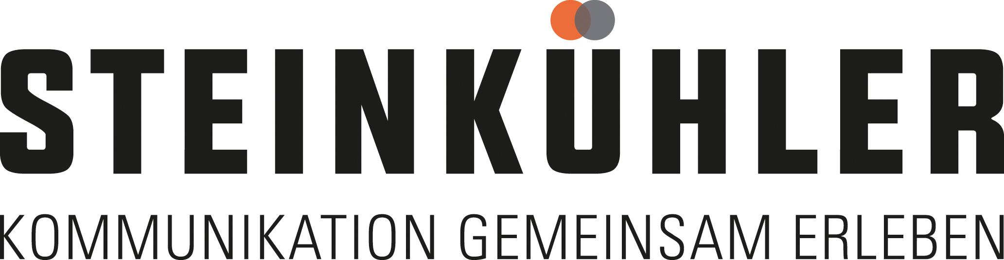 STEINKUêHLER Logo